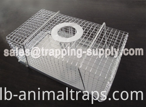 Humane Top-entry Mouse Trap Cage